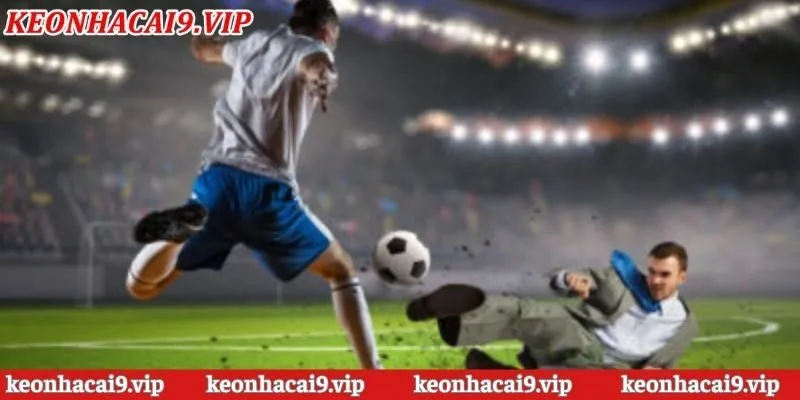 Các giải đấu đỉnh cao tại link xem bóng đá trực tiếp Xoilac