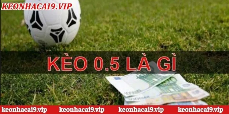 Góc nhìn tổng quan về kèo nhà cái chấp 1/2 trái