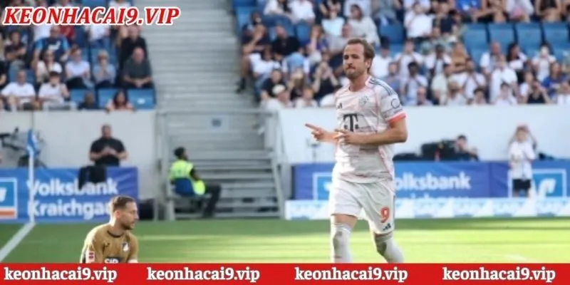 kèo nhà cái bóng đá Bundesliga