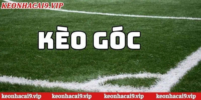 Phân loại một số kèo nhà cái phạt góc phổ biến hiện nay