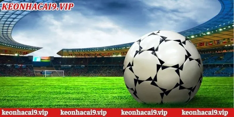 Tổng hợp vài nguồn link